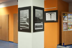 bur0002