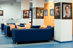 bur01