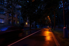 DSC05239