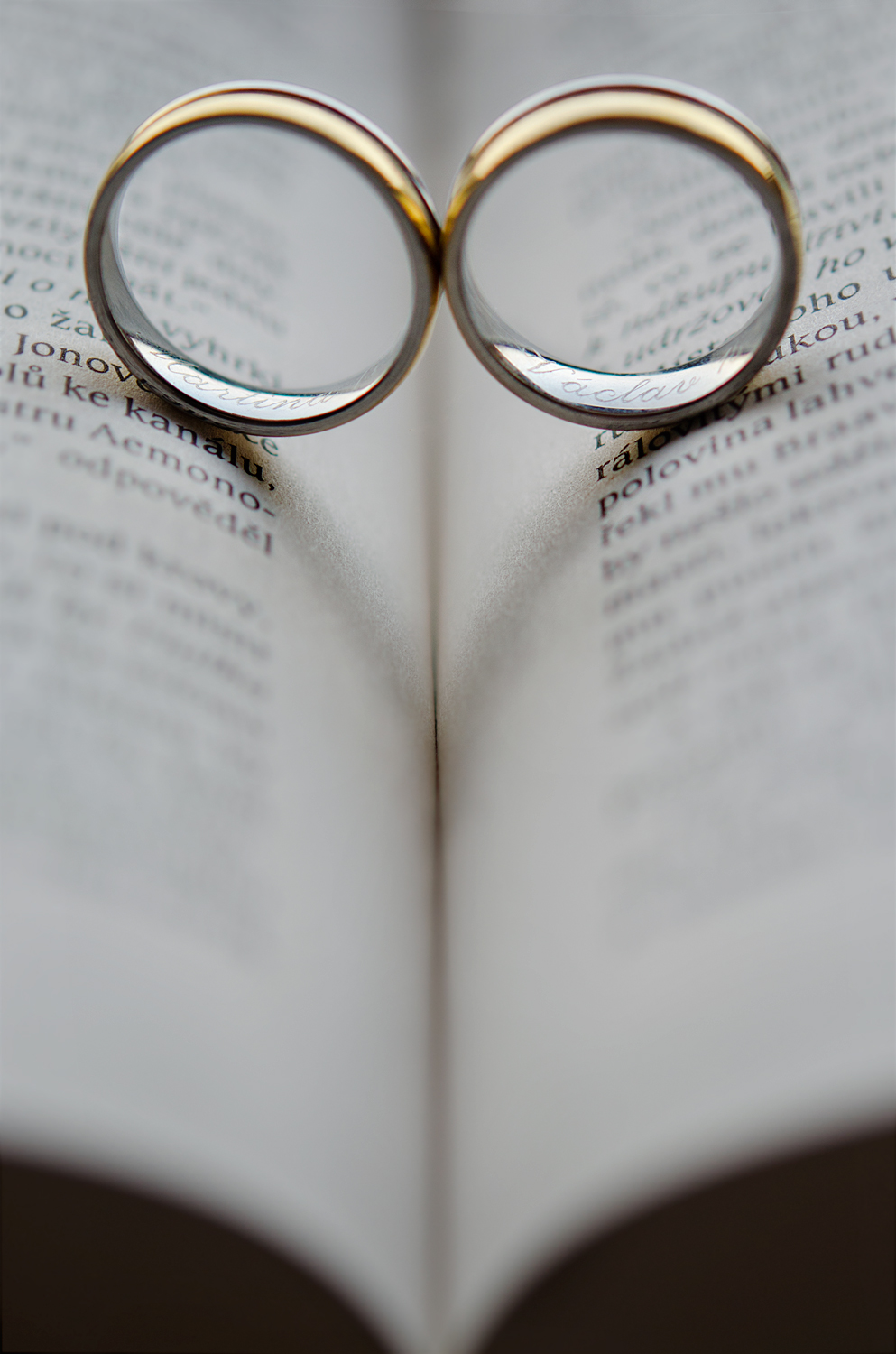 3e4a55_ff386e634c5b4e538794ca162865d74a-mv2