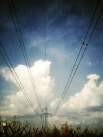 IMG_20140907_161956_1 