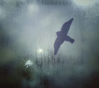 IMG_20160310_070431-01 