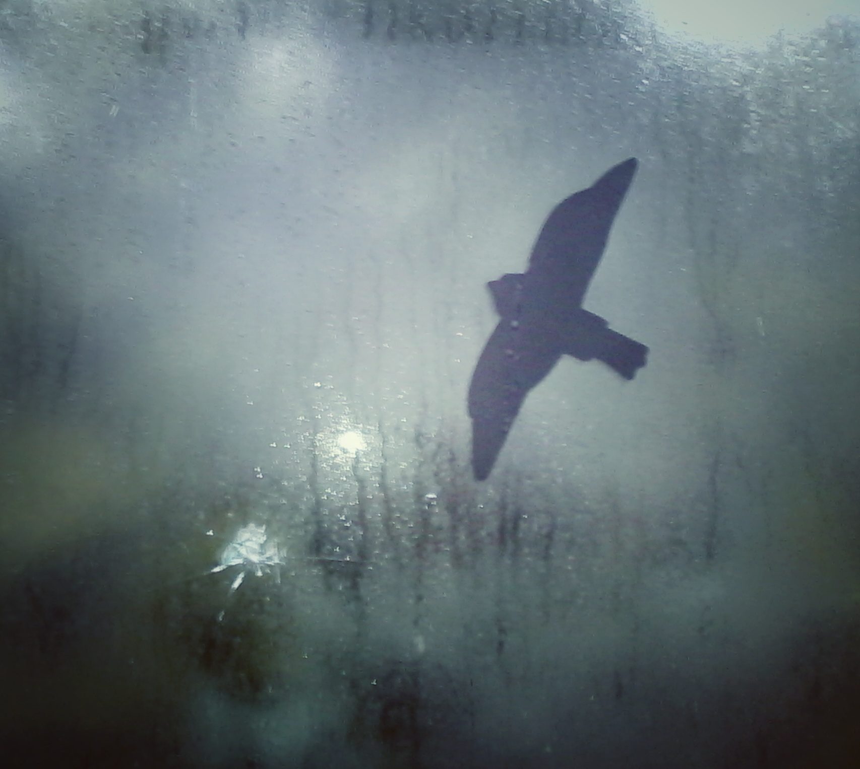 IMG_20160310_070431-01