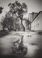 IMG_20170428_142801-01 