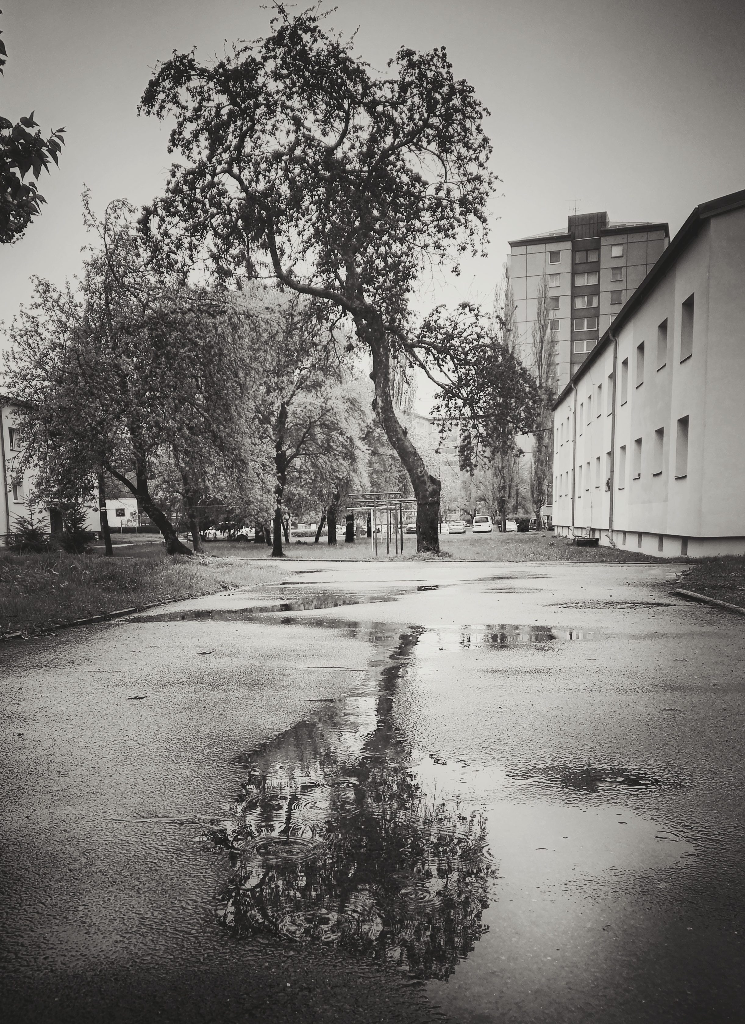 IMG_20170428_142801-01