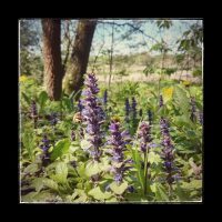 IMG_20170511_121717-01-01 