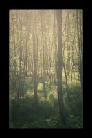 IMG_20170511_122515-01 