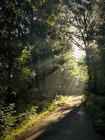 IMG_20170619_065132-01 