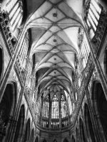 IMG_20171126_081102-01-01 