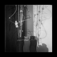 IMG_20180207_211956-01 