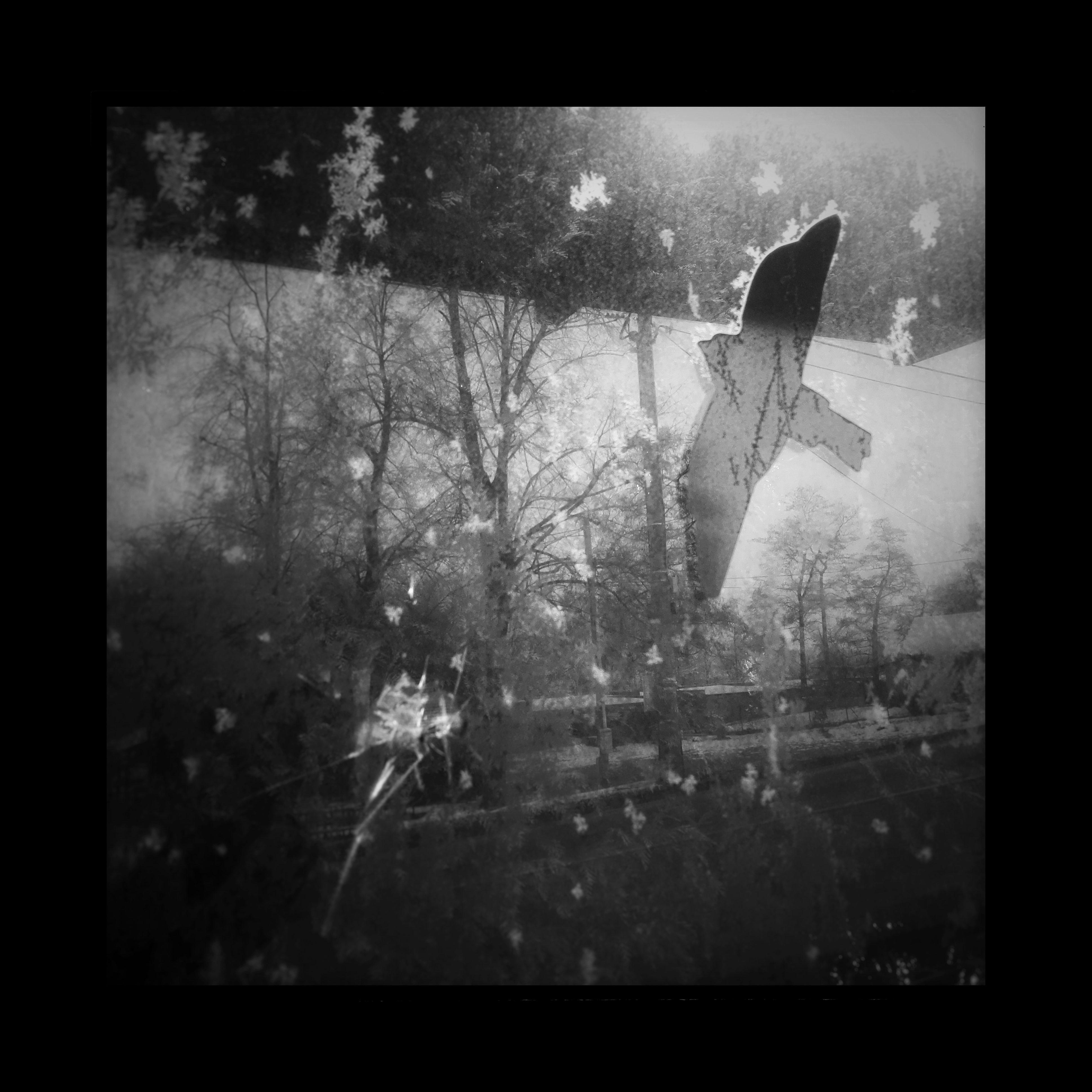 IMG_20180301_063835-01-01-01