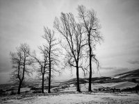 IMG_20180318_145538-01-01 